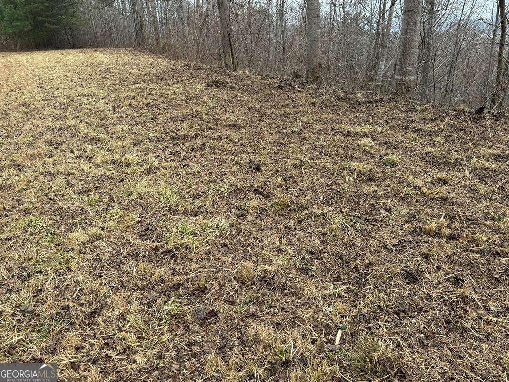 Lot 10 Chatuge Manor Drive Young Harris GA 30582