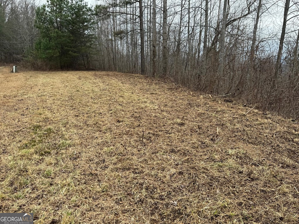 Lot 10 Chatuge Manor Drive Young Harris GA 30582