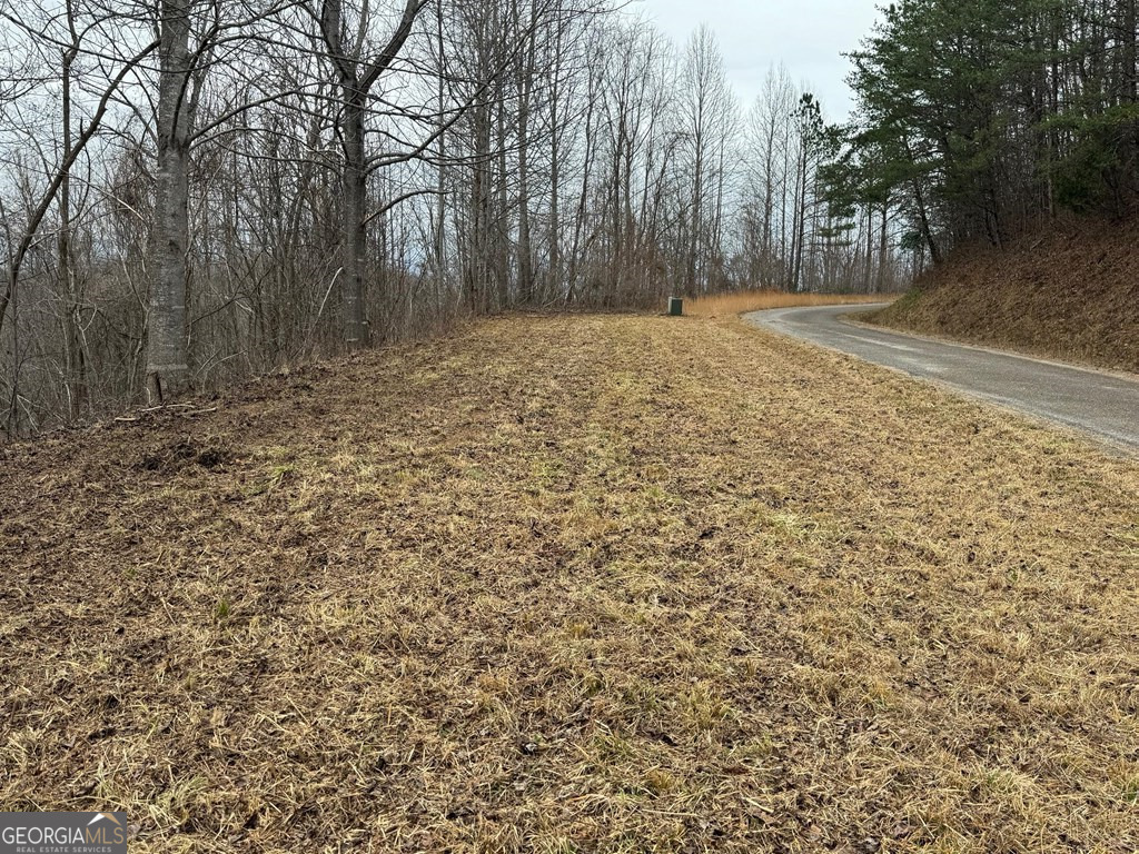 Lot 10 Chatuge Manor Drive Young Harris GA 30582