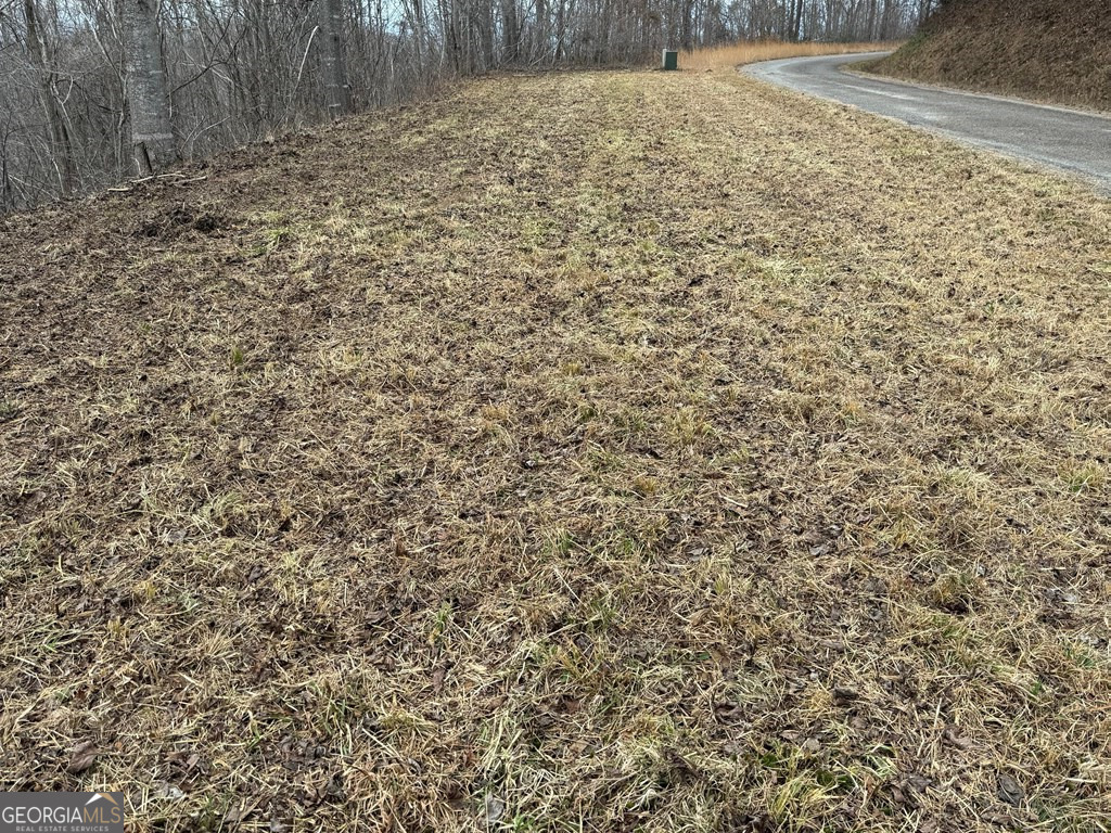 Lot 10 Chatuge Manor Drive Young Harris GA 30582