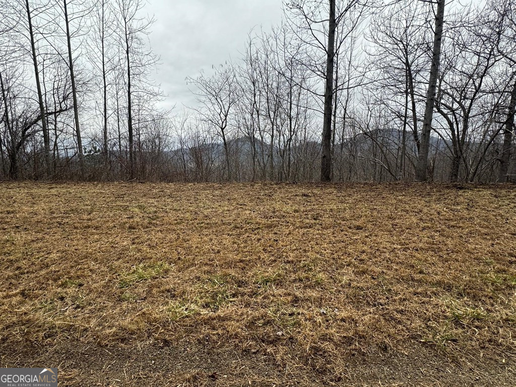 Lot 10 Chatuge Manor Drive Young Harris GA 30582