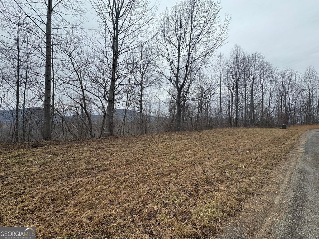 Lot 10 Chatuge Manor Drive Young Harris GA 30582