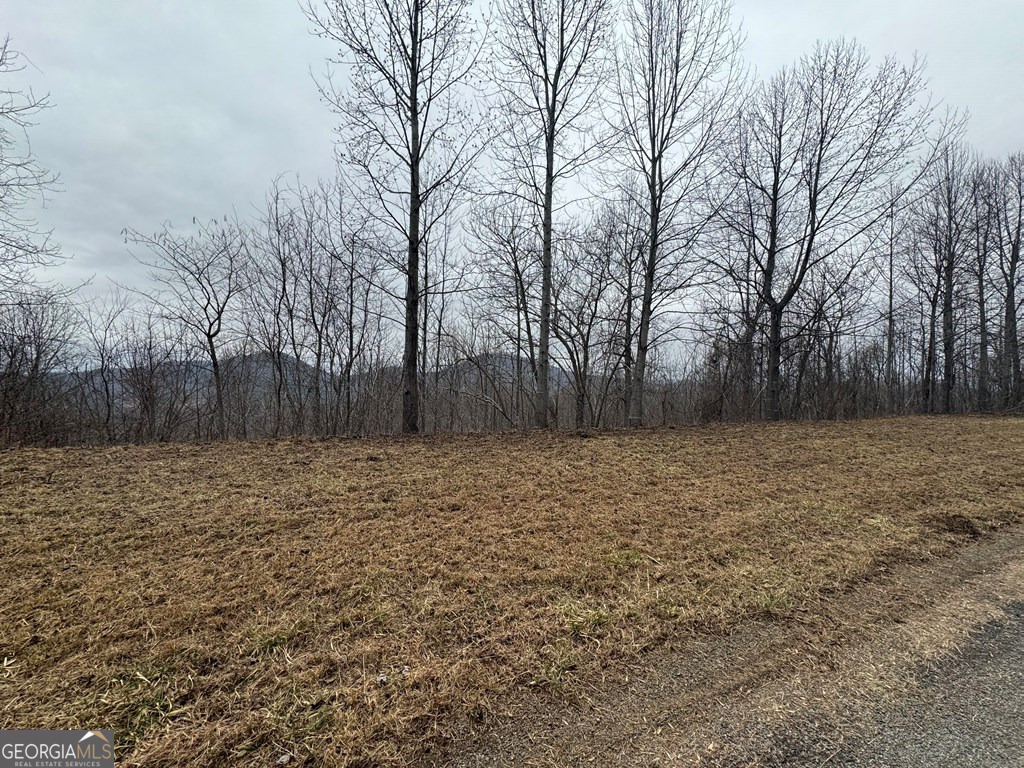 Lot 10 Chatuge Manor Drive Young Harris GA 30582