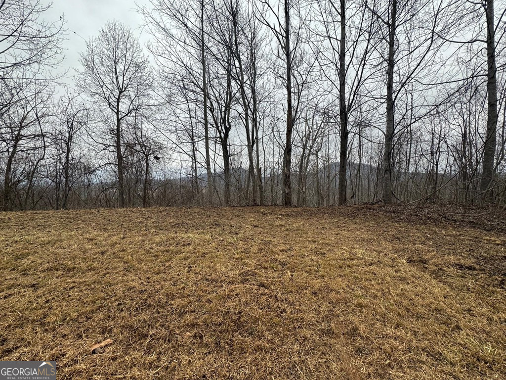 Lot 10 Chatuge Manor Drive Young Harris GA 30582