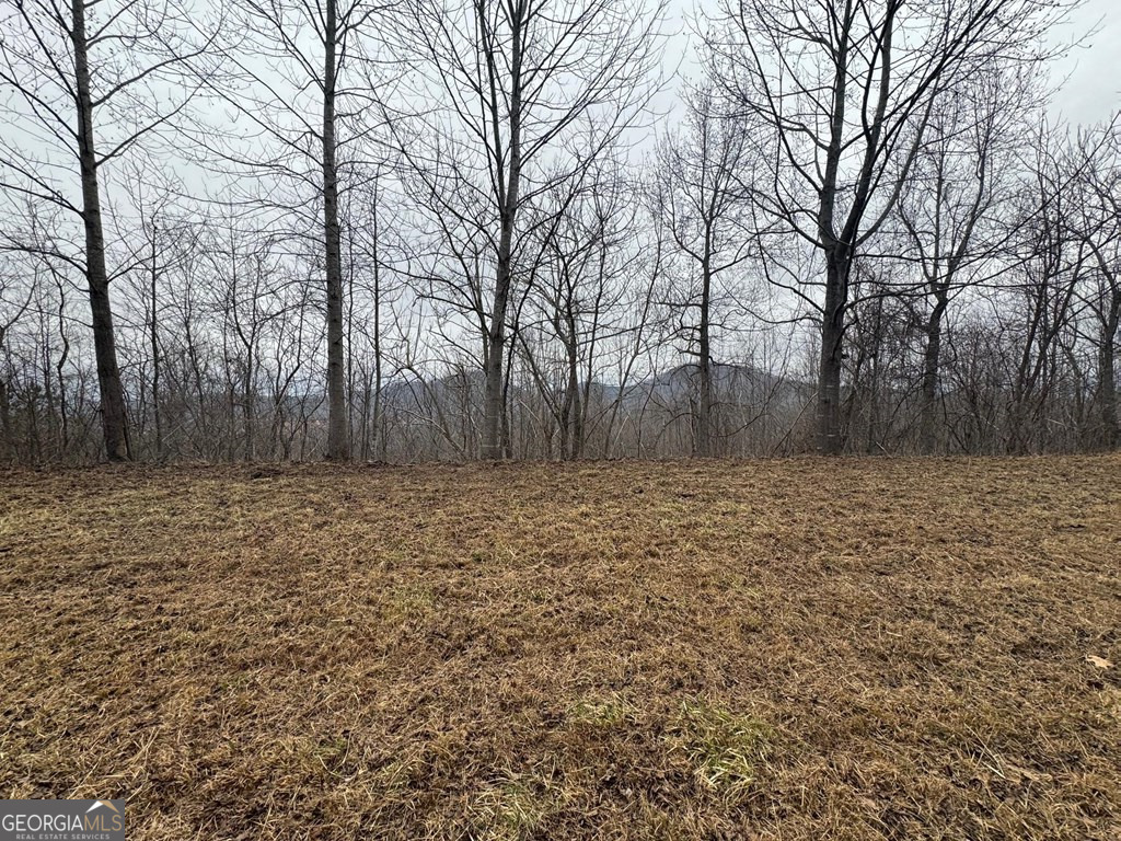 Lot 10 Chatuge Manor Drive Young Harris GA 30582