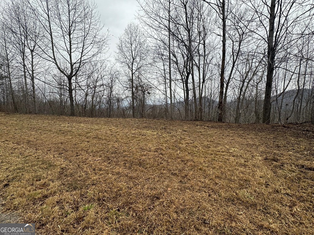 Lot 10 Chatuge Manor Drive Young Harris GA 30582