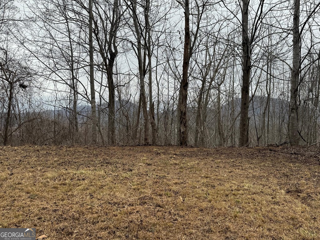 Lot 10 Chatuge Manor Drive Young Harris GA 30582