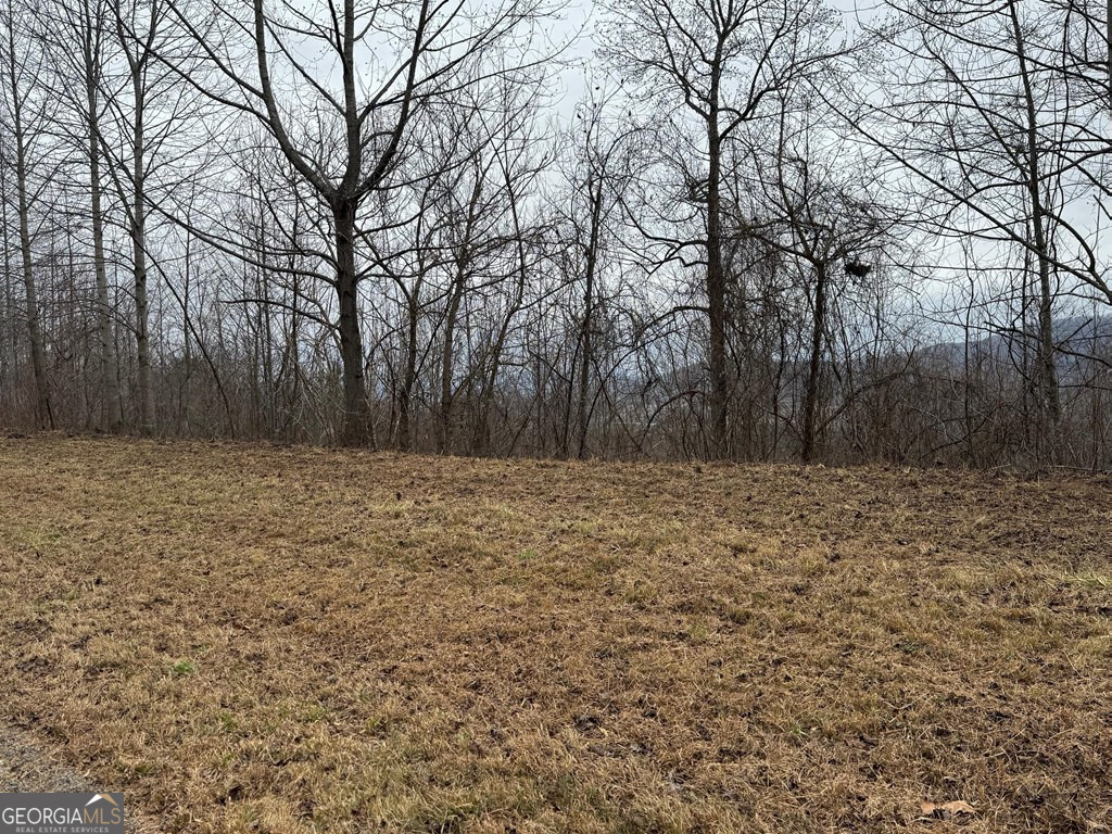Lot 10 Chatuge Manor Drive Young Harris GA 30582
