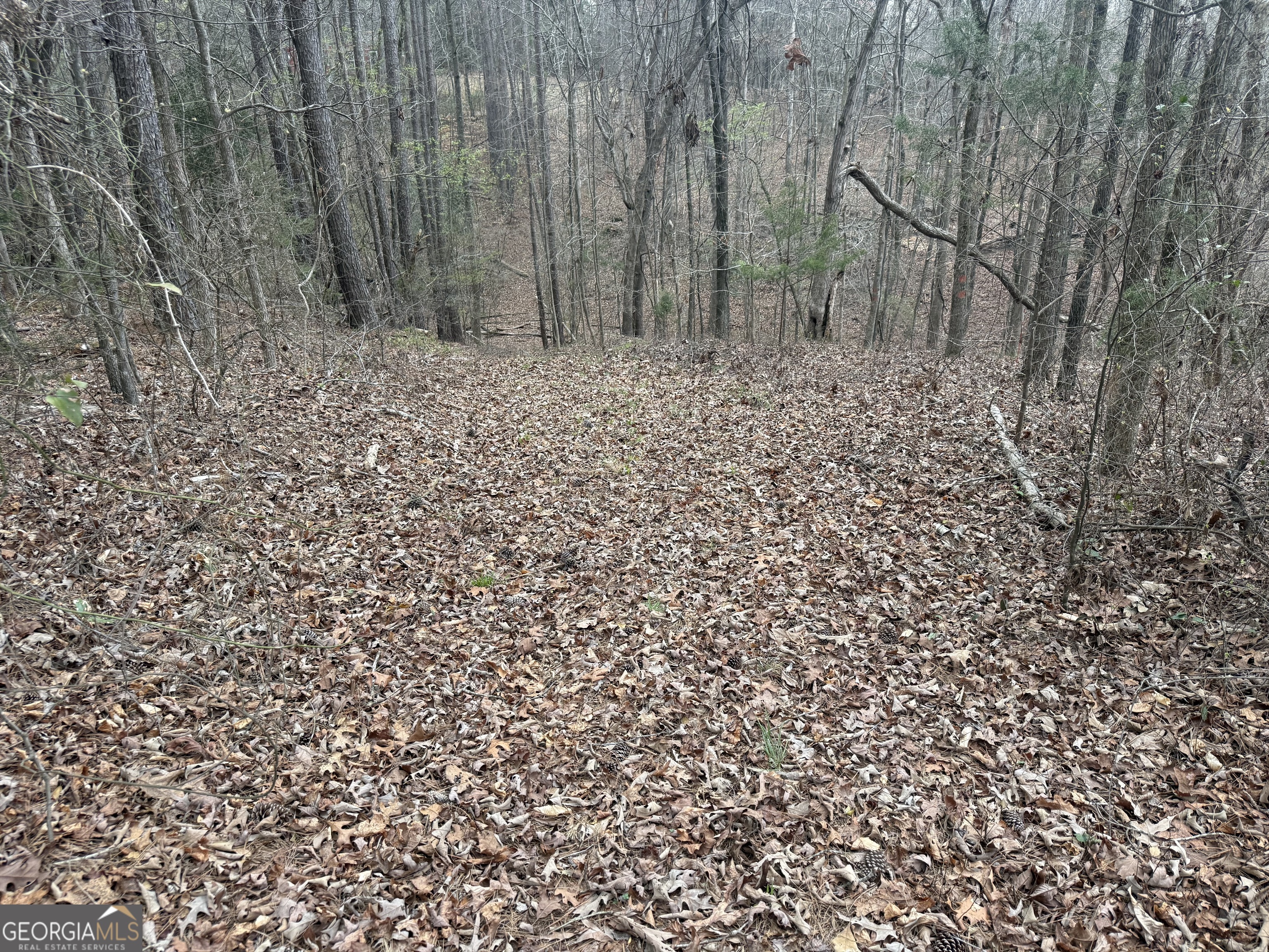 0 Gregg Shoals Drive Elberton GA 30635