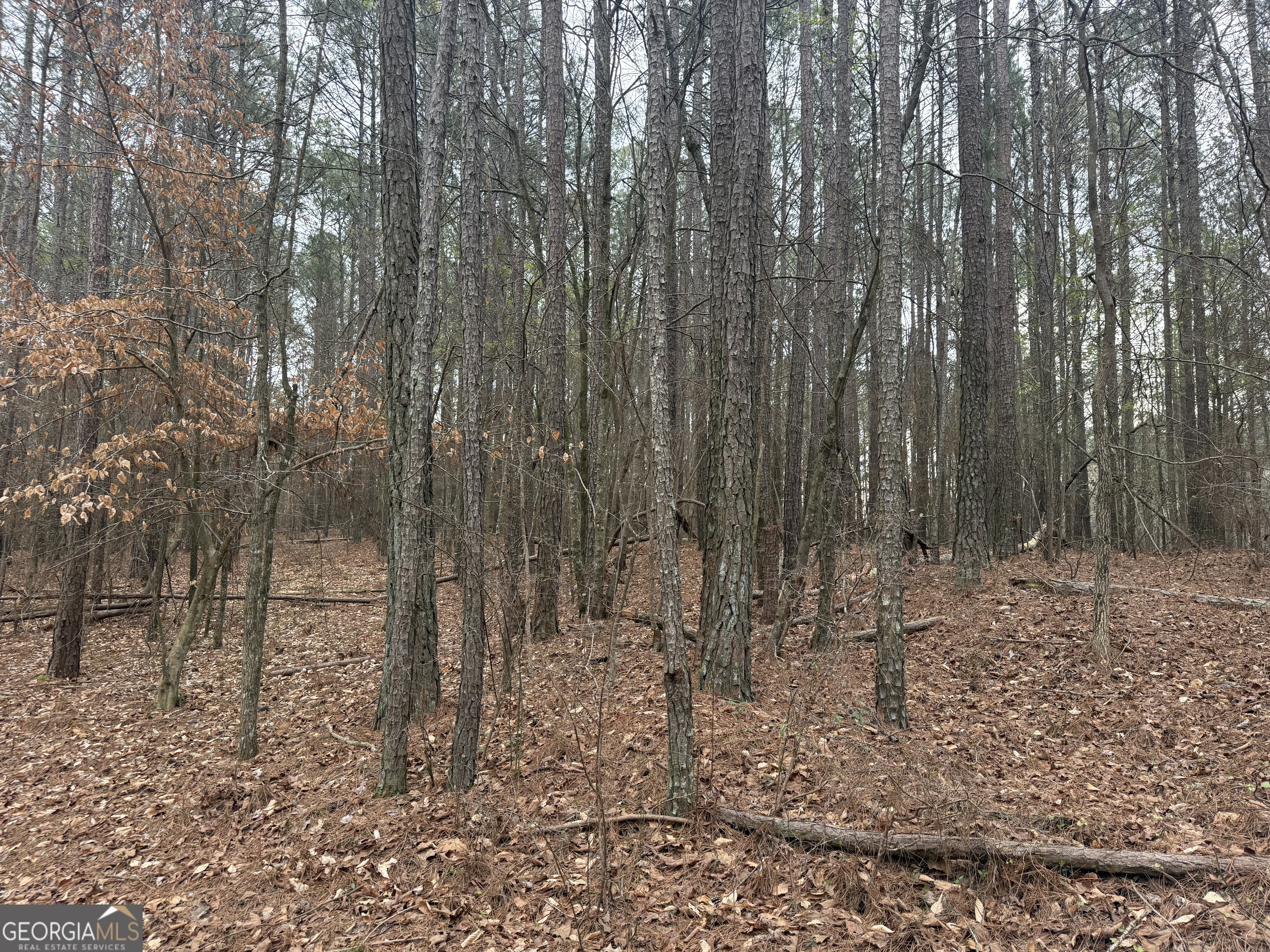 0 Gregg Shoals Drive Elberton GA 30635