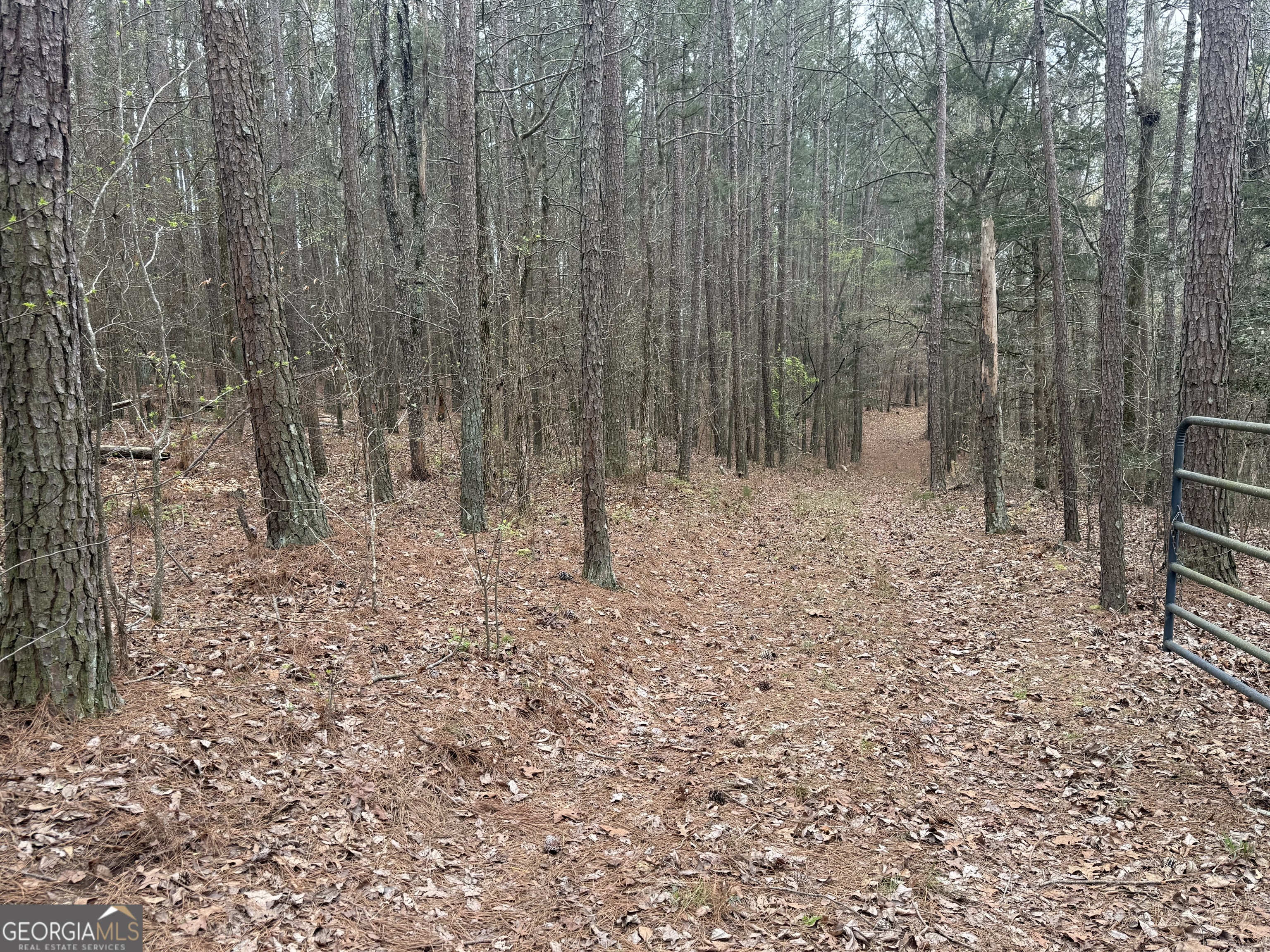 0 Gregg Shoals Drive Elberton GA 30635