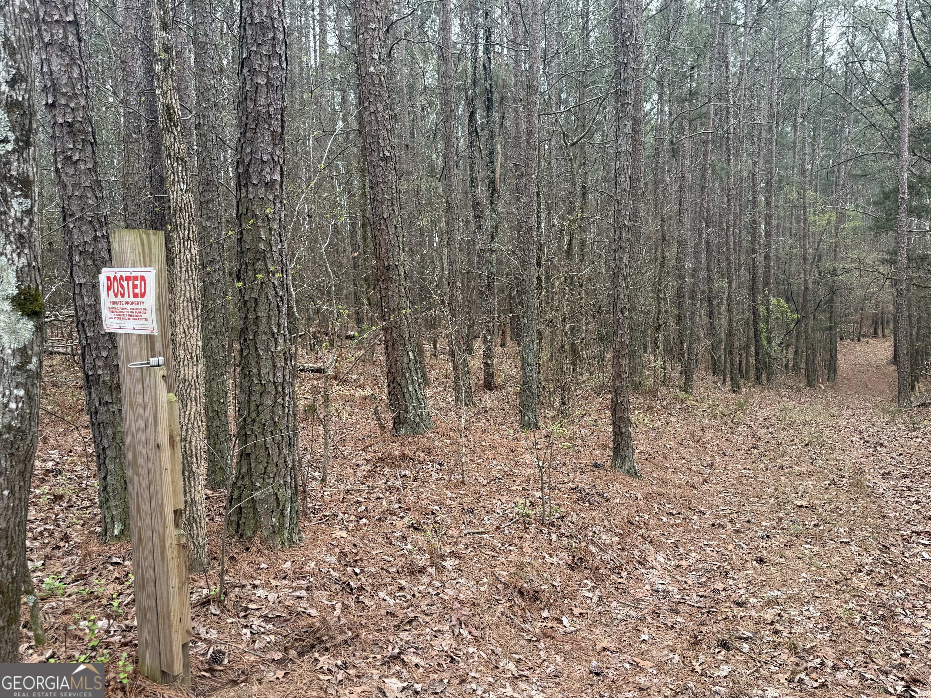 0 Gregg Shoals Drive Elberton GA 30635