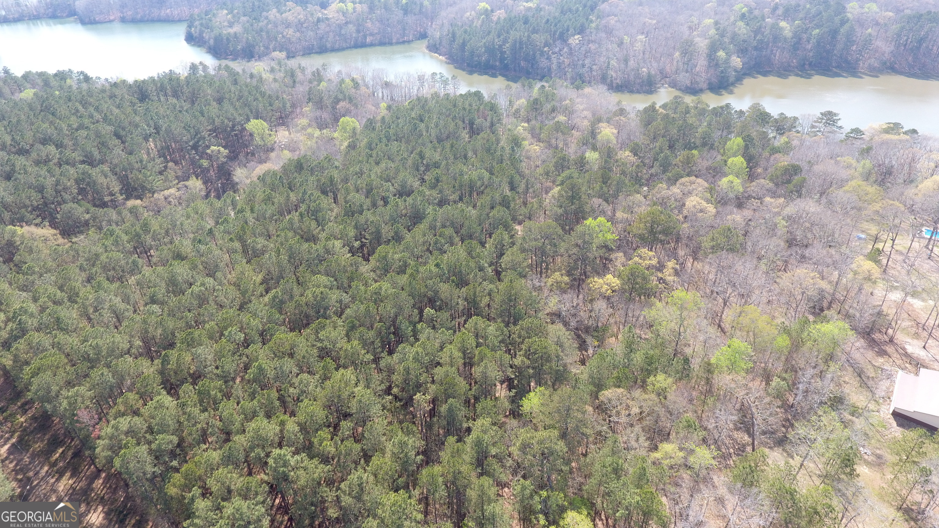 0 Gregg Shoals Drive Elberton GA 30635