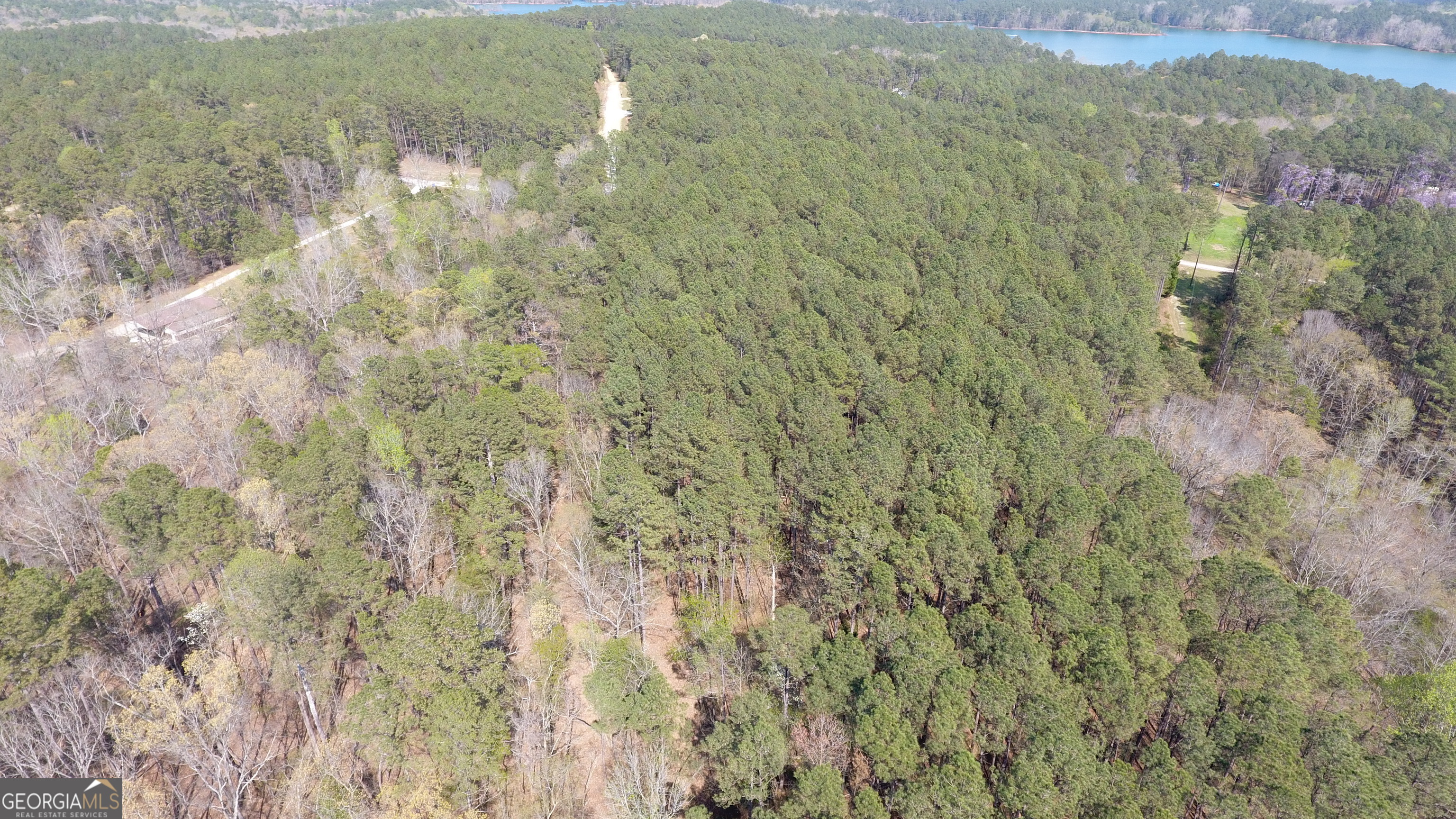 0 Gregg Shoals Drive Elberton GA 30635