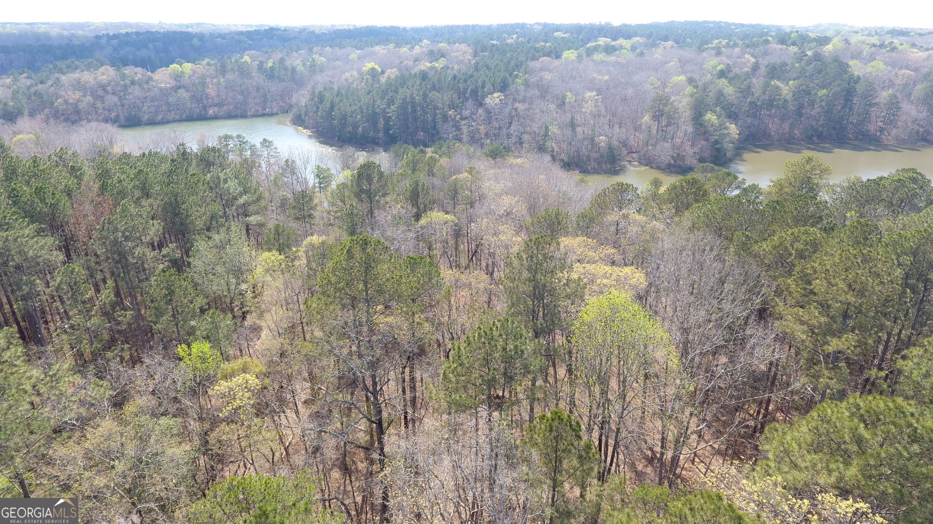 0 Gregg Shoals Drive Elberton GA 30635