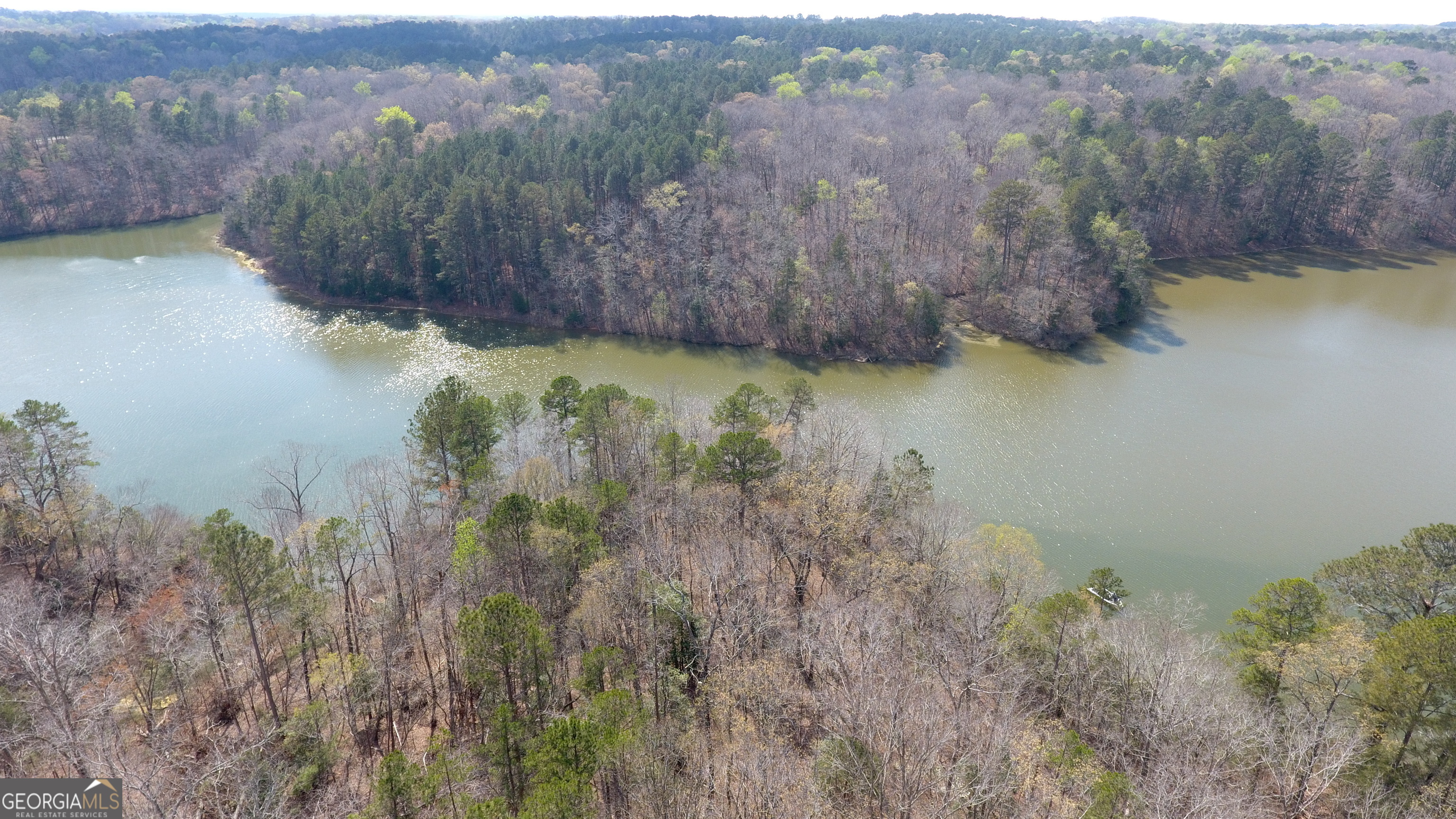 0 Gregg Shoals Drive Elberton GA 30635