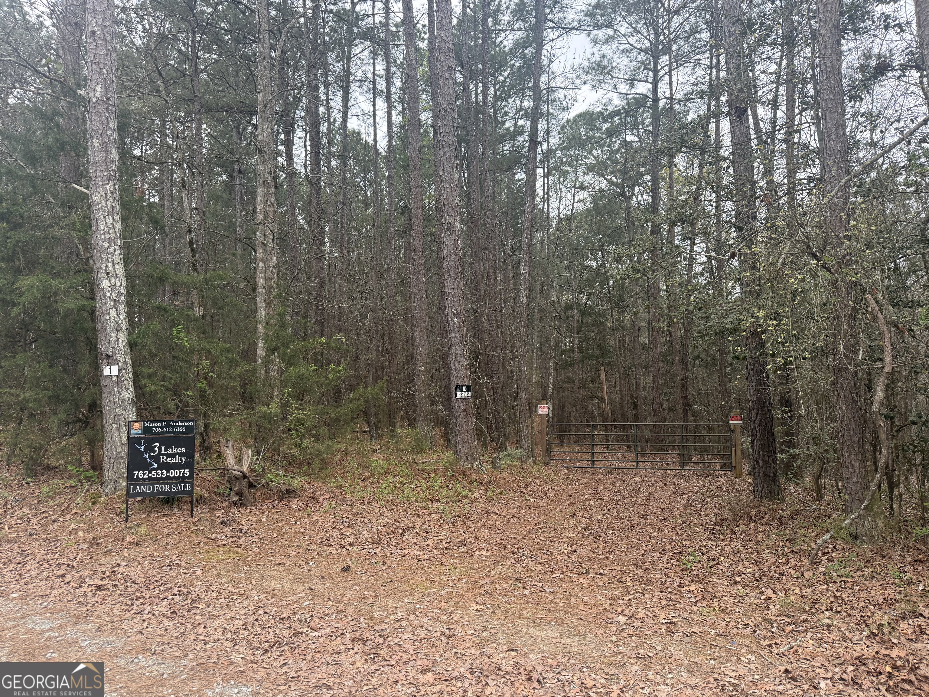 0 Gregg Shoals Drive Elberton GA 30635