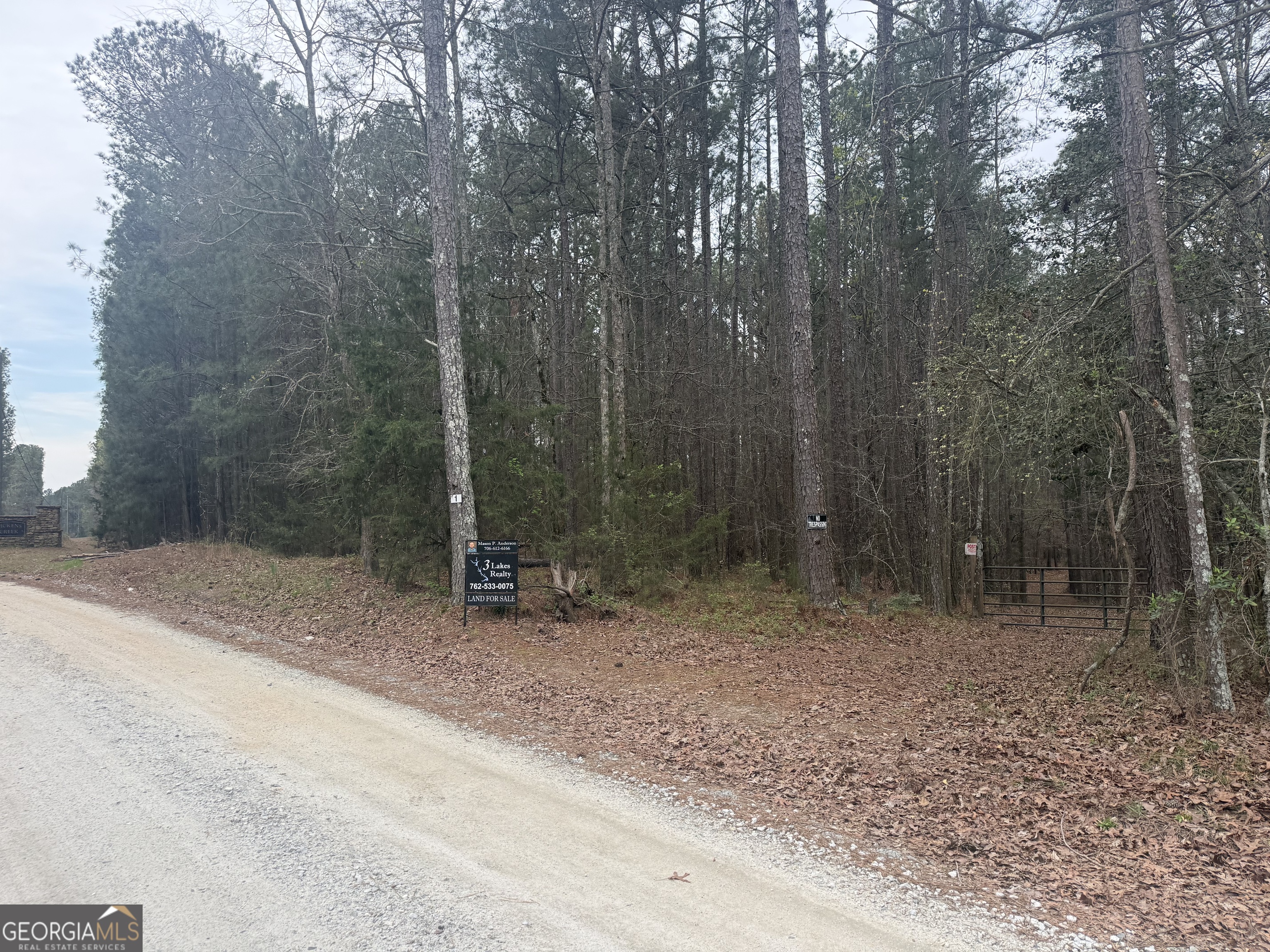 0 Gregg Shoals Drive Elberton GA 30635