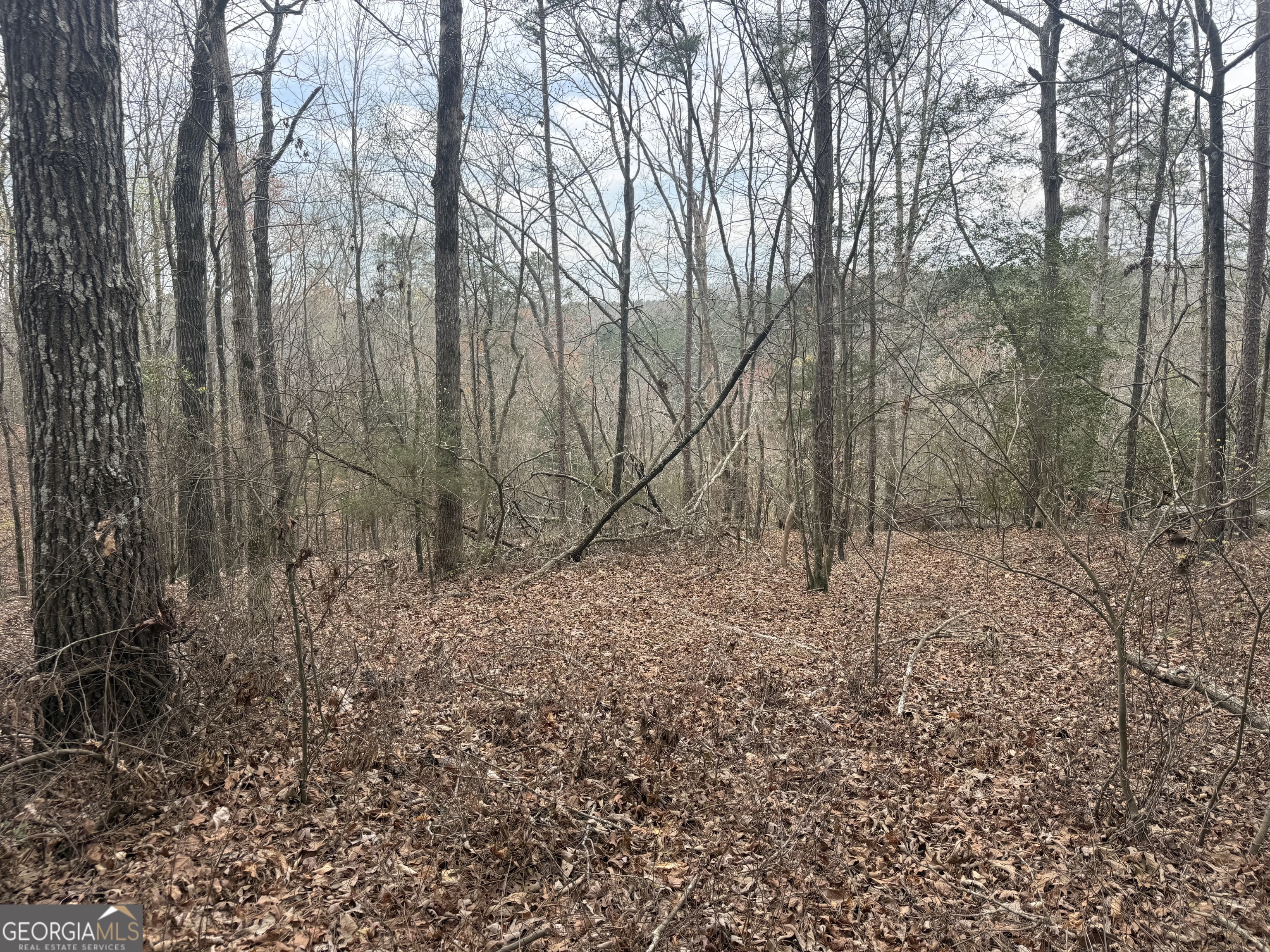 0 Gregg Shoals Drive Elberton GA 30635