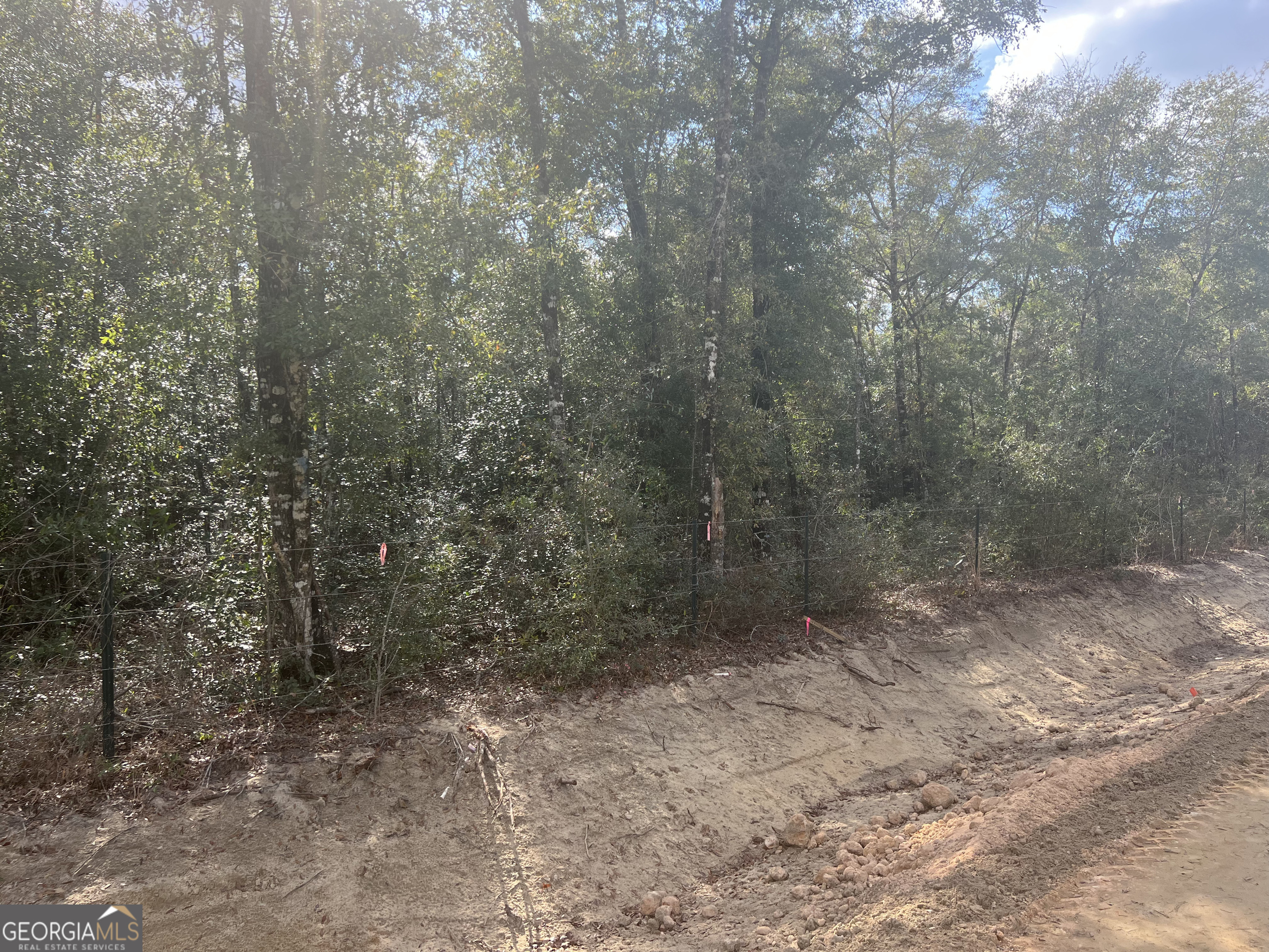 837 Bluff Road Jesup GA 31545
