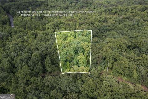 Lot 150 Tranquility @ Carters Lake Ellijay GA 30540