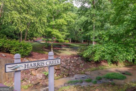 Lot 150 Tranquility @ Carters Lake Ellijay GA 30540