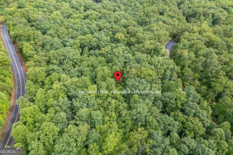 Lot 150 Tranquility @ Carters Lake Ellijay GA 30540