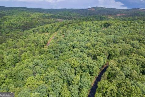 Lot 150 Tranquility @ Carters Lake Ellijay GA 30540