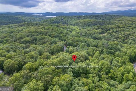 Lot 150 Tranquility @ Carters Lake Ellijay GA 30540