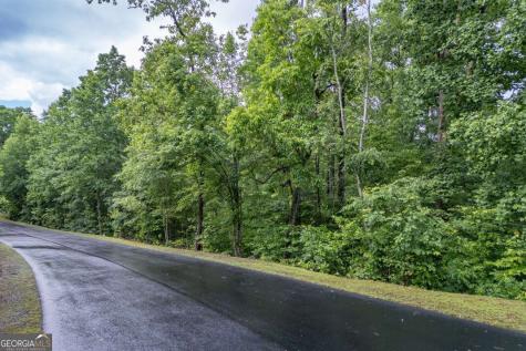 Lot 150 Tranquility @ Carters Lake Ellijay GA 30540
