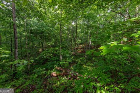 Lot 150 Tranquility @ Carters Lake Ellijay GA 30540