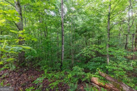 Lot 150 Tranquility @ Carters Lake Ellijay GA 30540