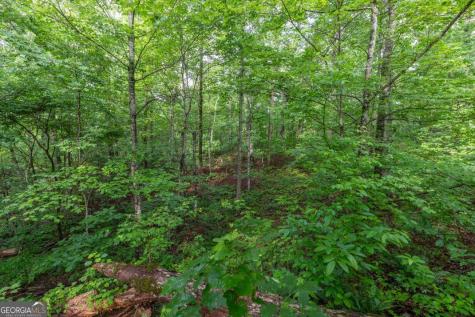 Lot 150 Tranquility @ Carters Lake Ellijay GA 30540