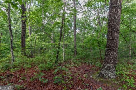 Lot 150 Tranquility @ Carters Lake Ellijay GA 30540