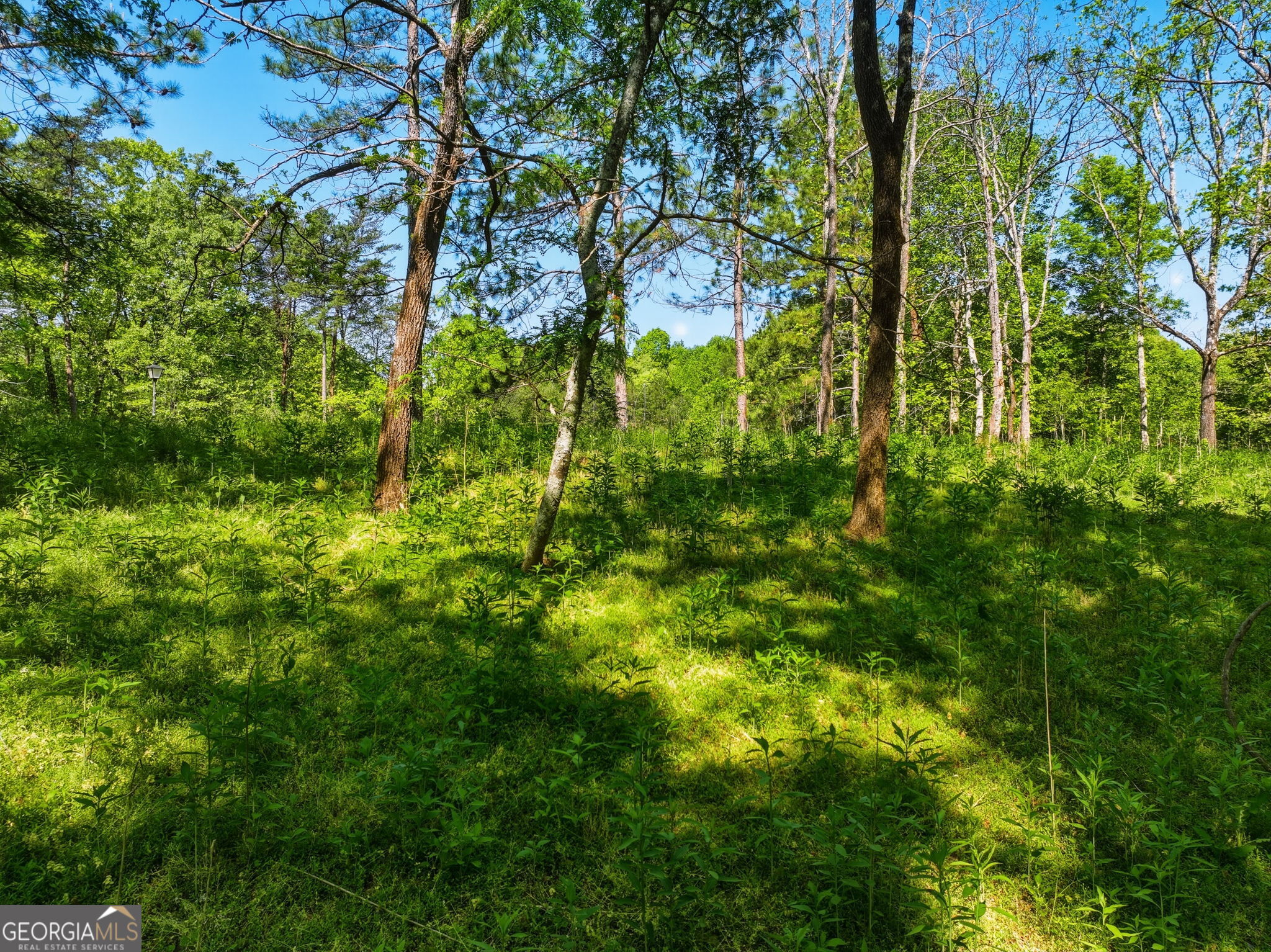 Lot 3 Summit Drive Dahlonega GA 30533