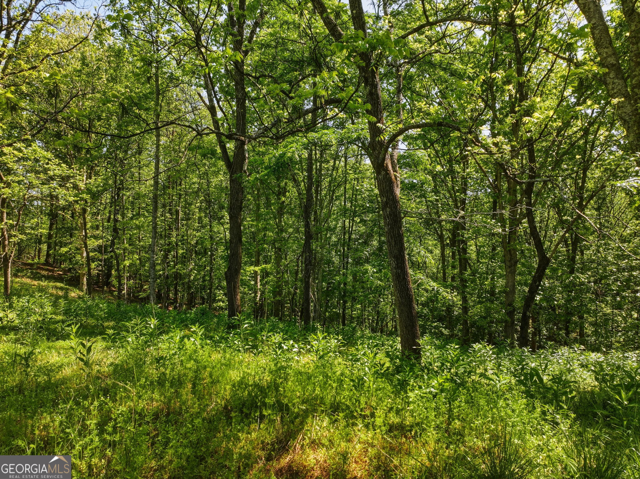 Lot 3 Summit Drive Dahlonega GA 30533