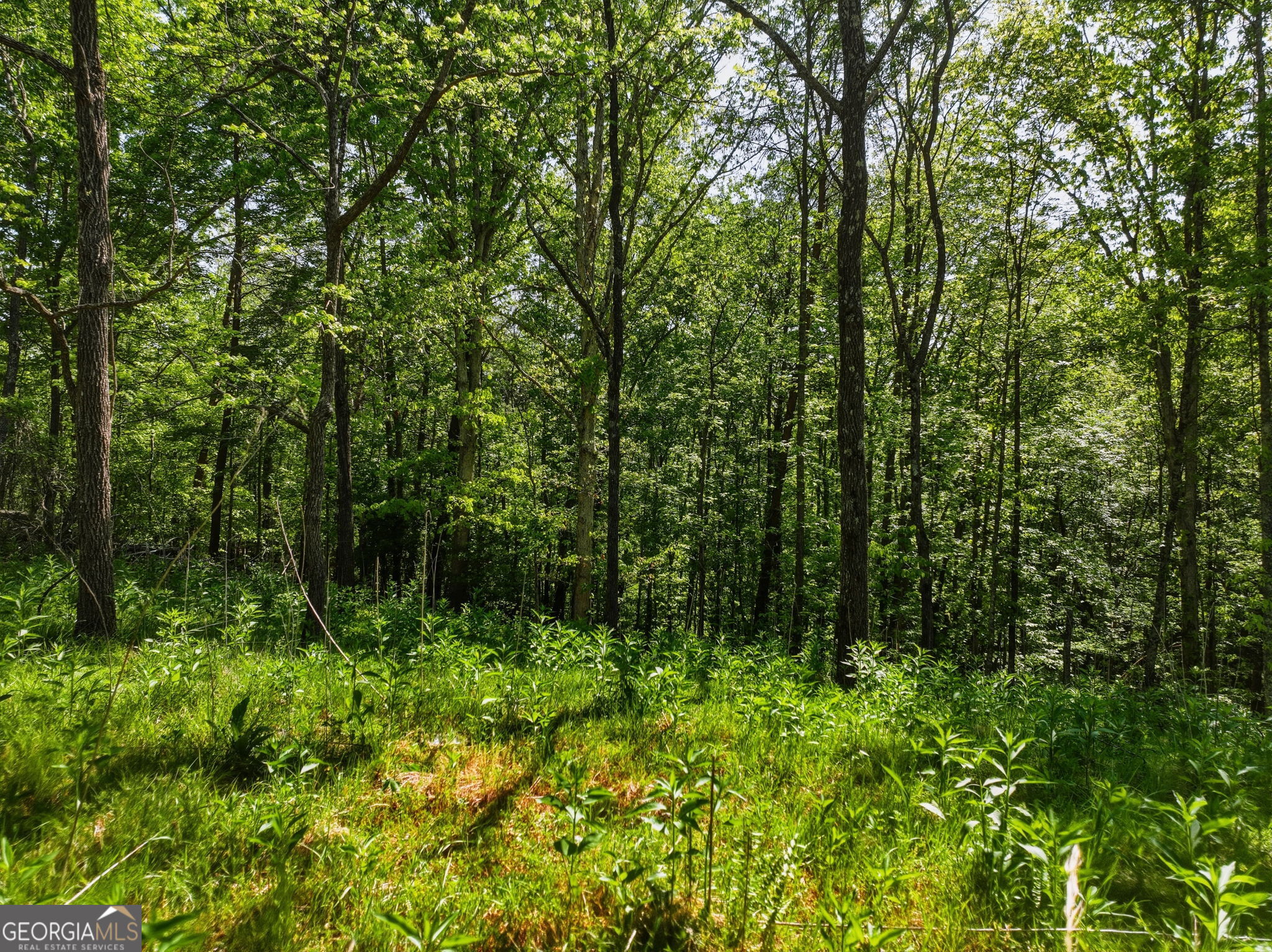 Lot 3 Summit Drive Dahlonega GA 30533