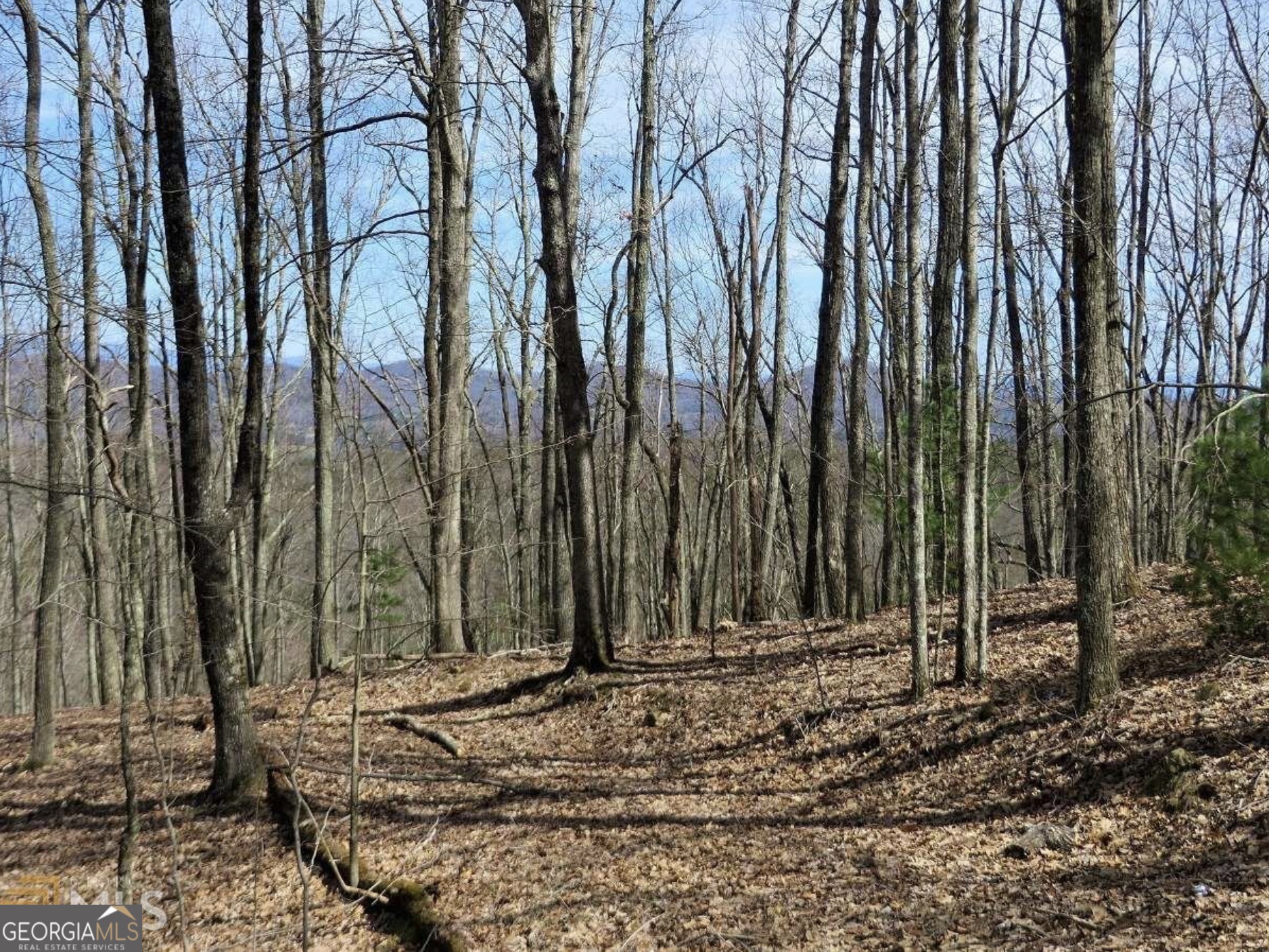 0 Deer Run Morganton GA 30560