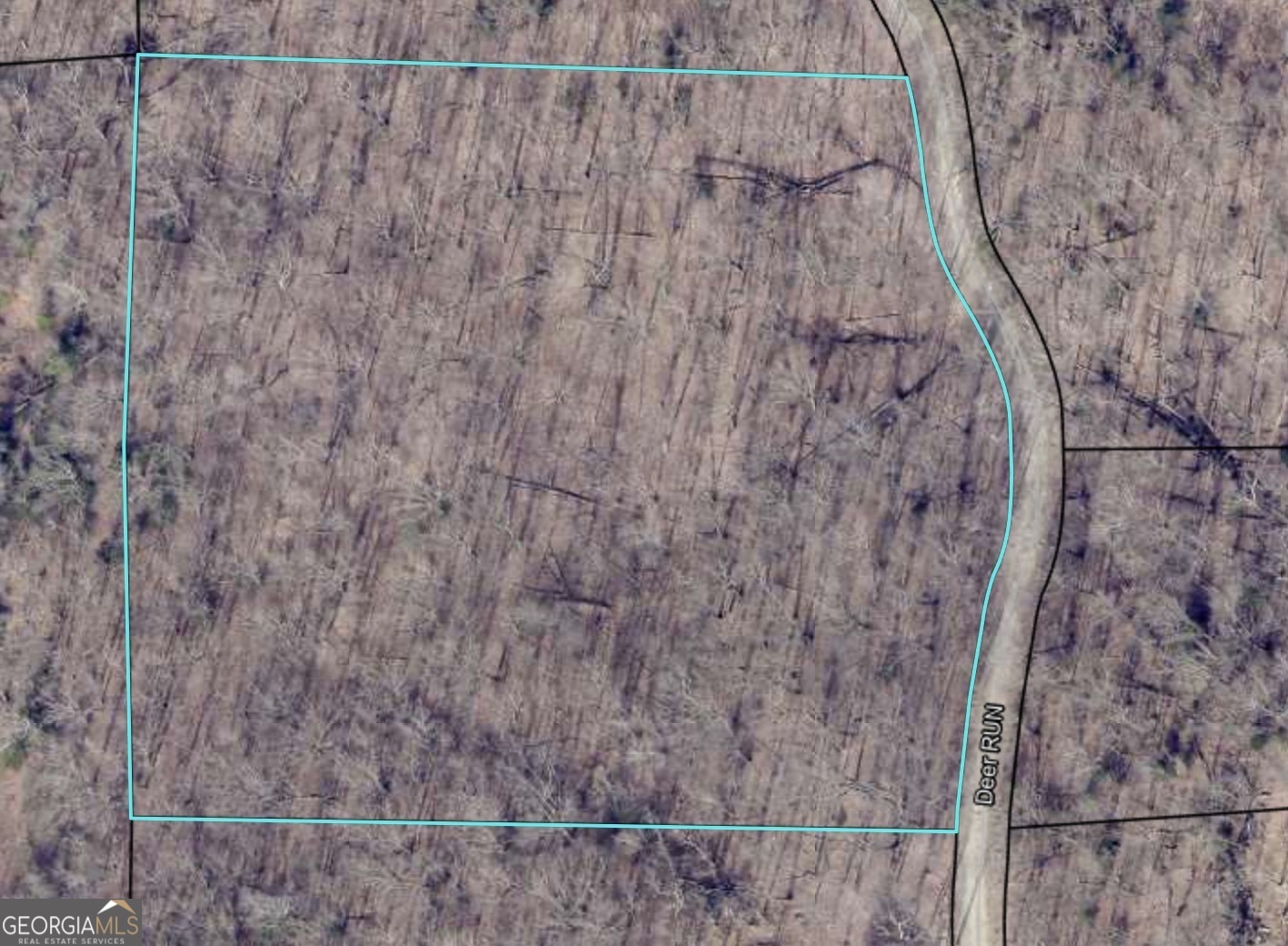 0 Deer Run Morganton GA 30560