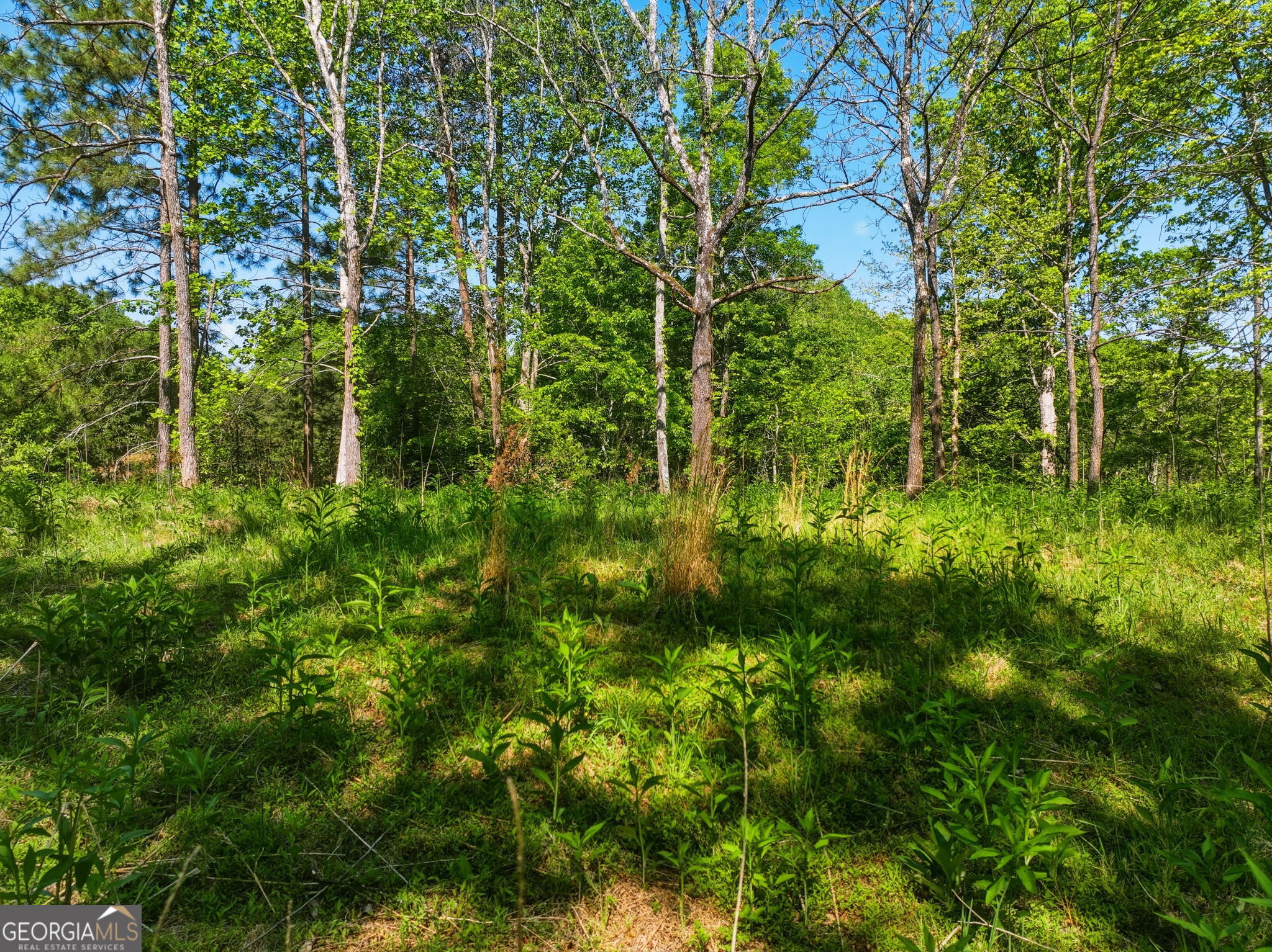 Lot 1 Summit Drive Dahlonega GA 30533