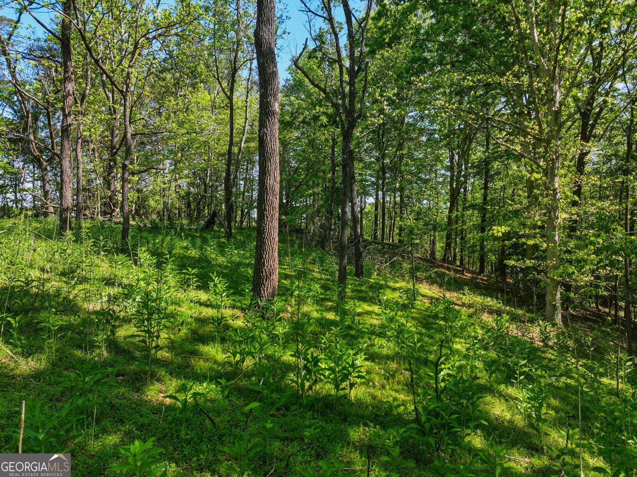 Lot 1 Summit Drive Dahlonega GA 30533