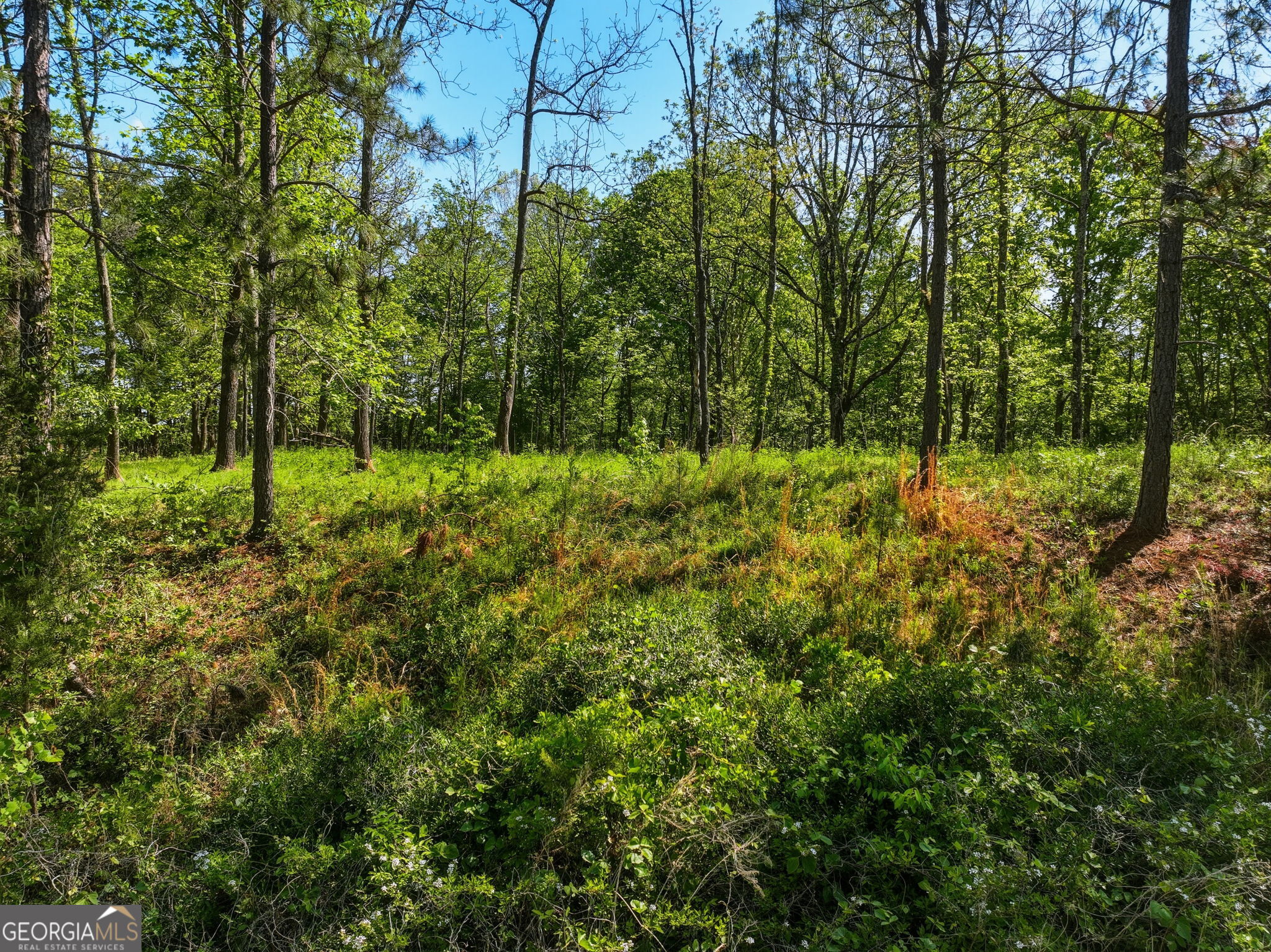 Lot 1 Summit Drive Dahlonega GA 30533