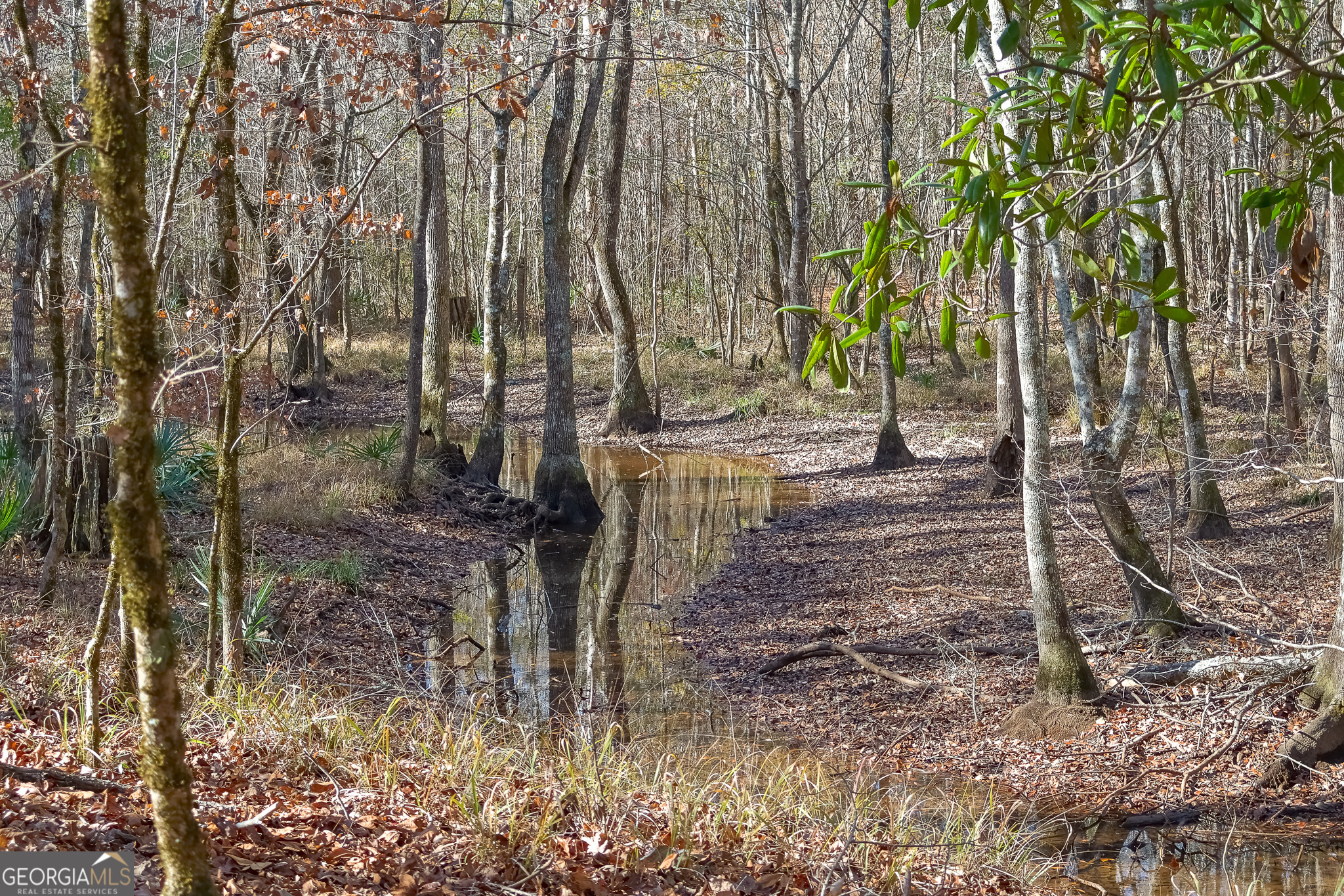 0 Limestone Road Cochran GA 31014