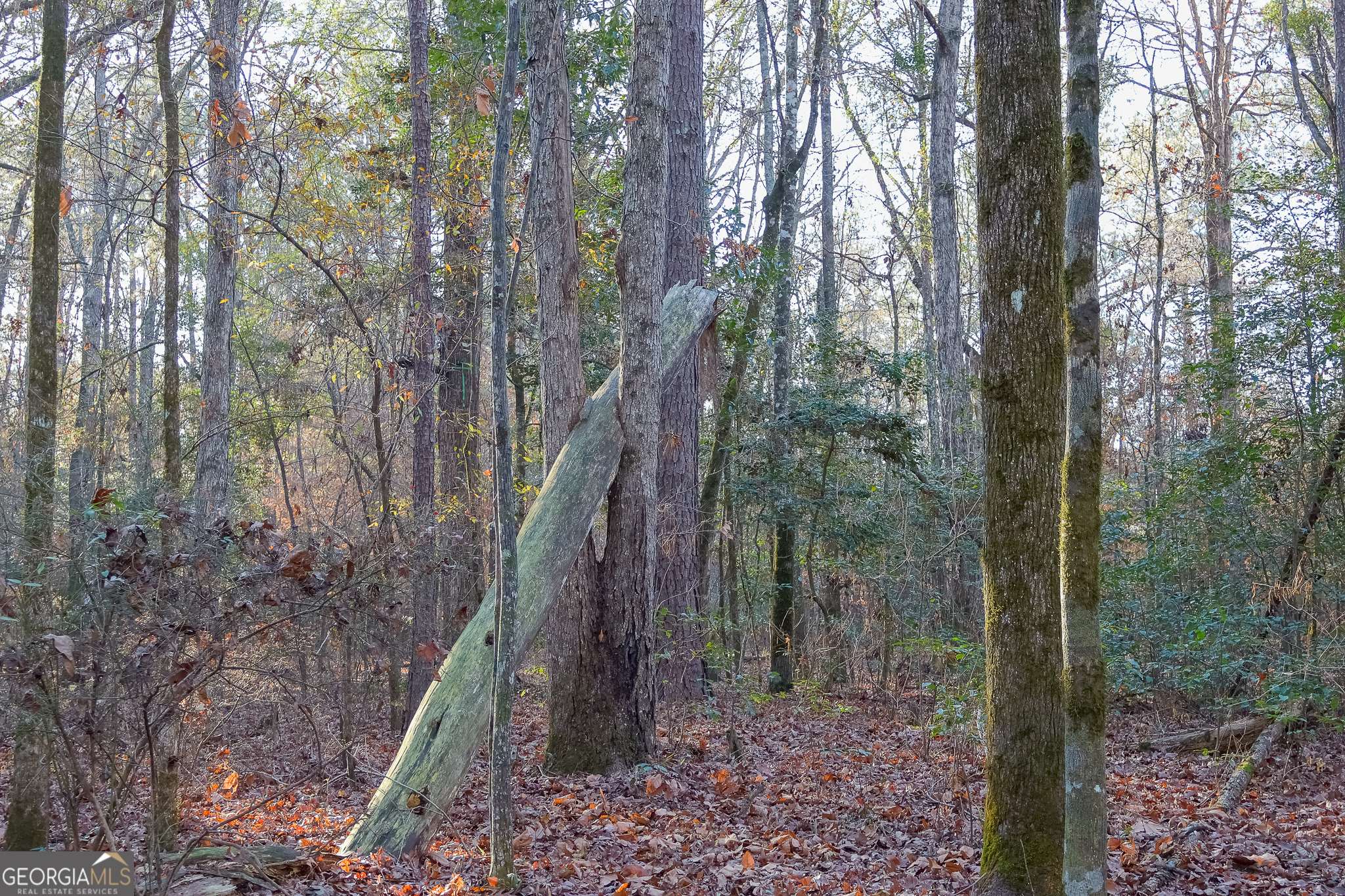 0 Limestone Road Cochran GA 31014