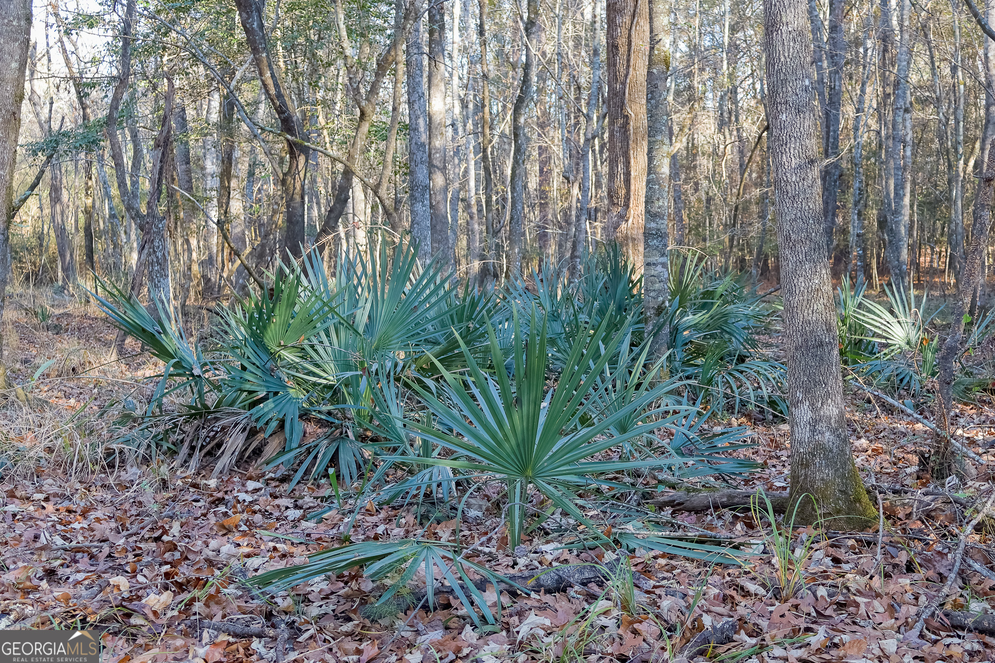 0 Limestone Road Cochran GA 31014