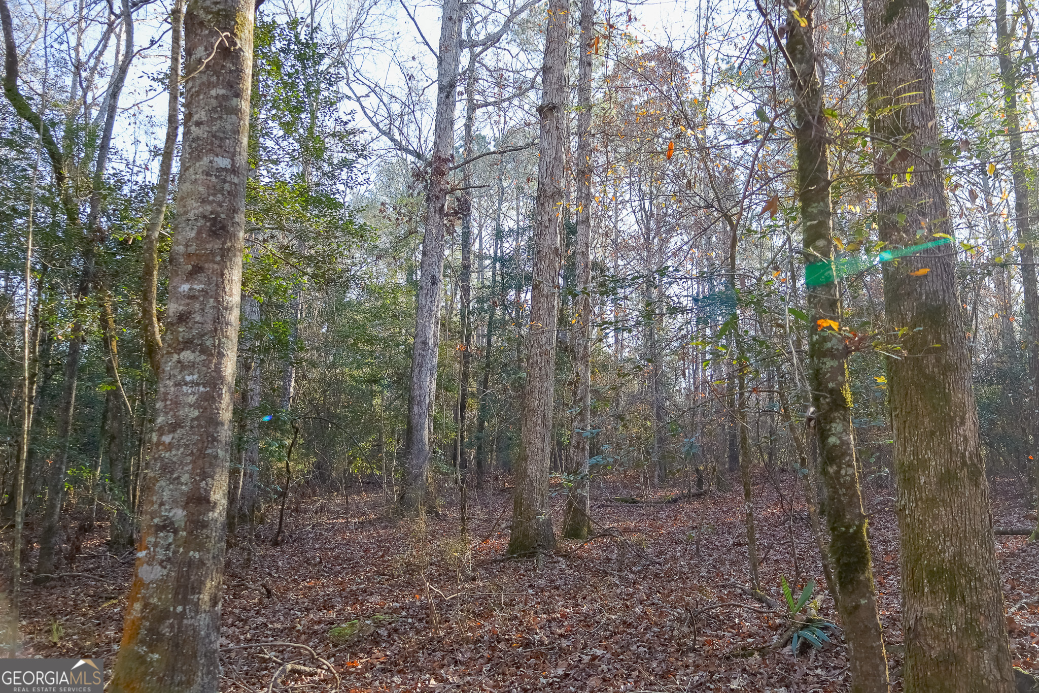 0 Limestone Road Cochran GA 31014
