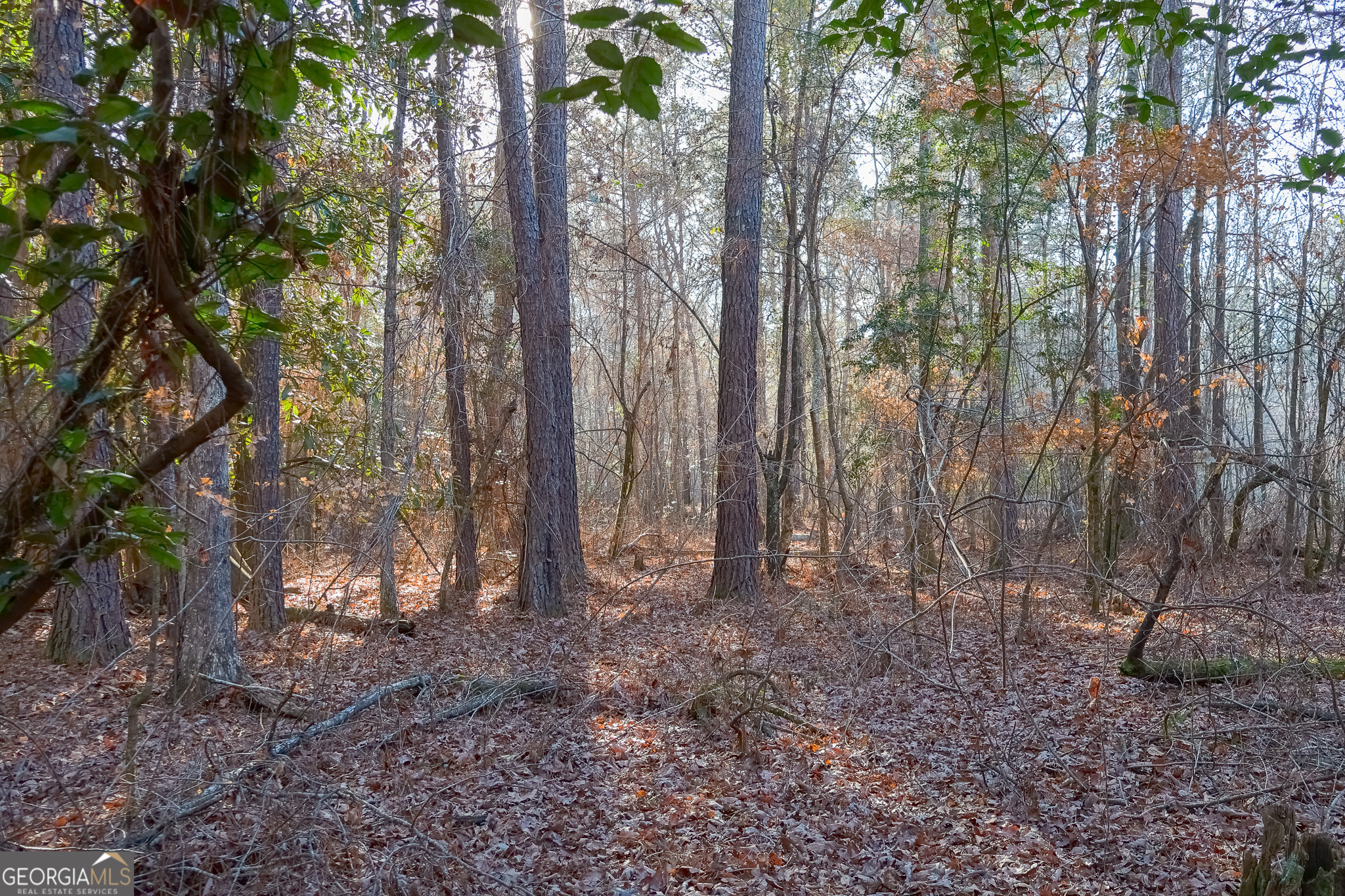 0 Limestone Road Cochran GA 31014