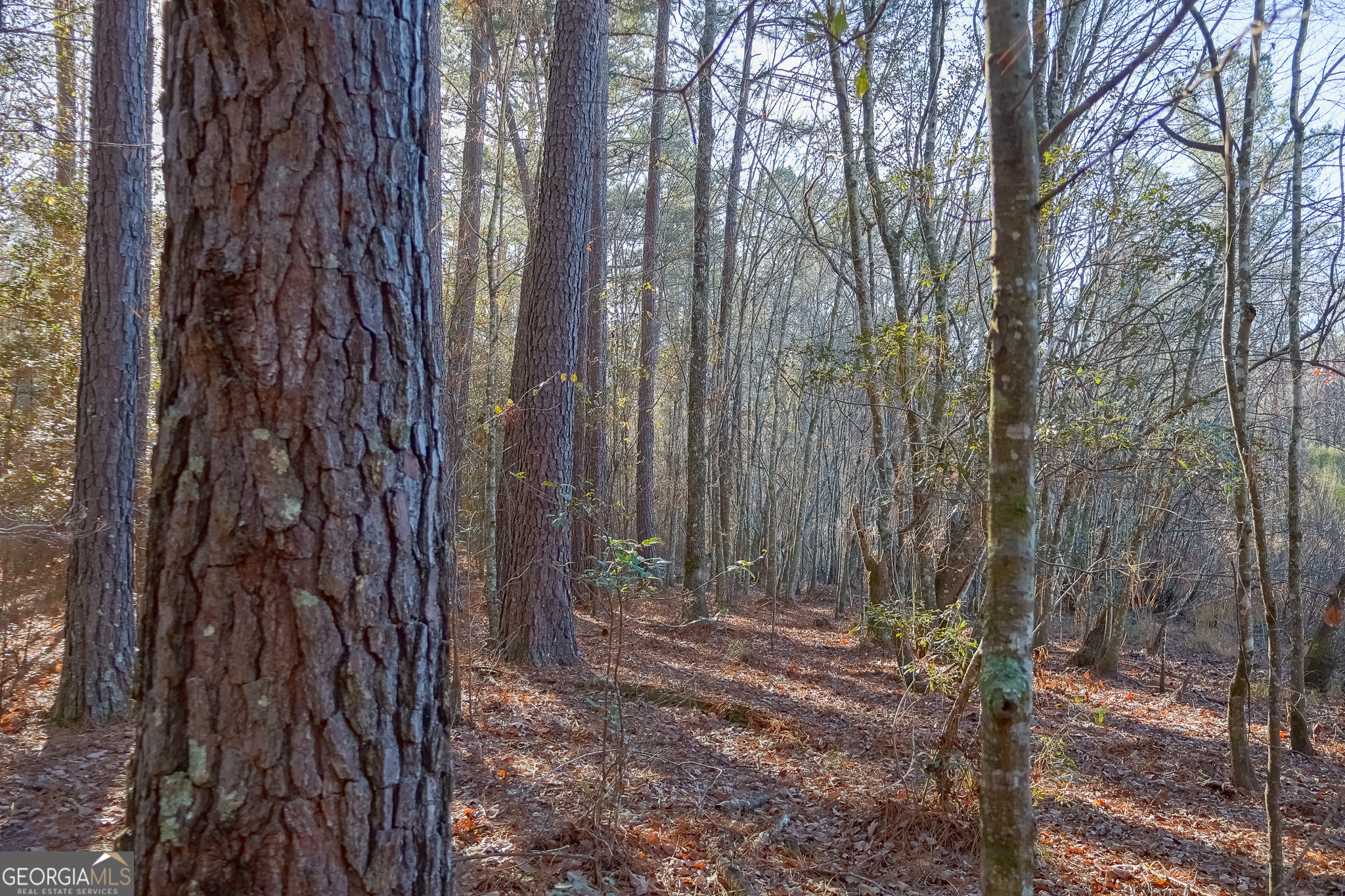 0 Limestone Road Cochran GA 31014