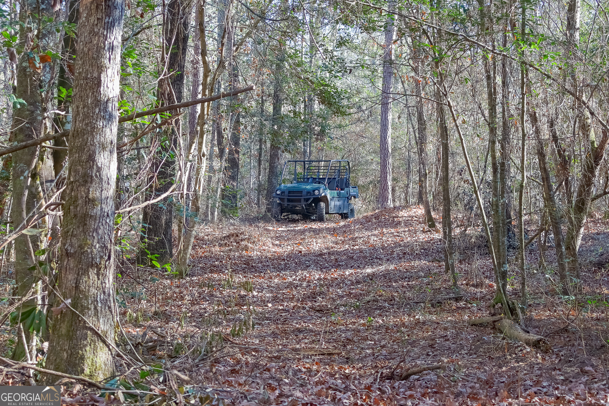 0 Limestone Road Cochran GA 31014