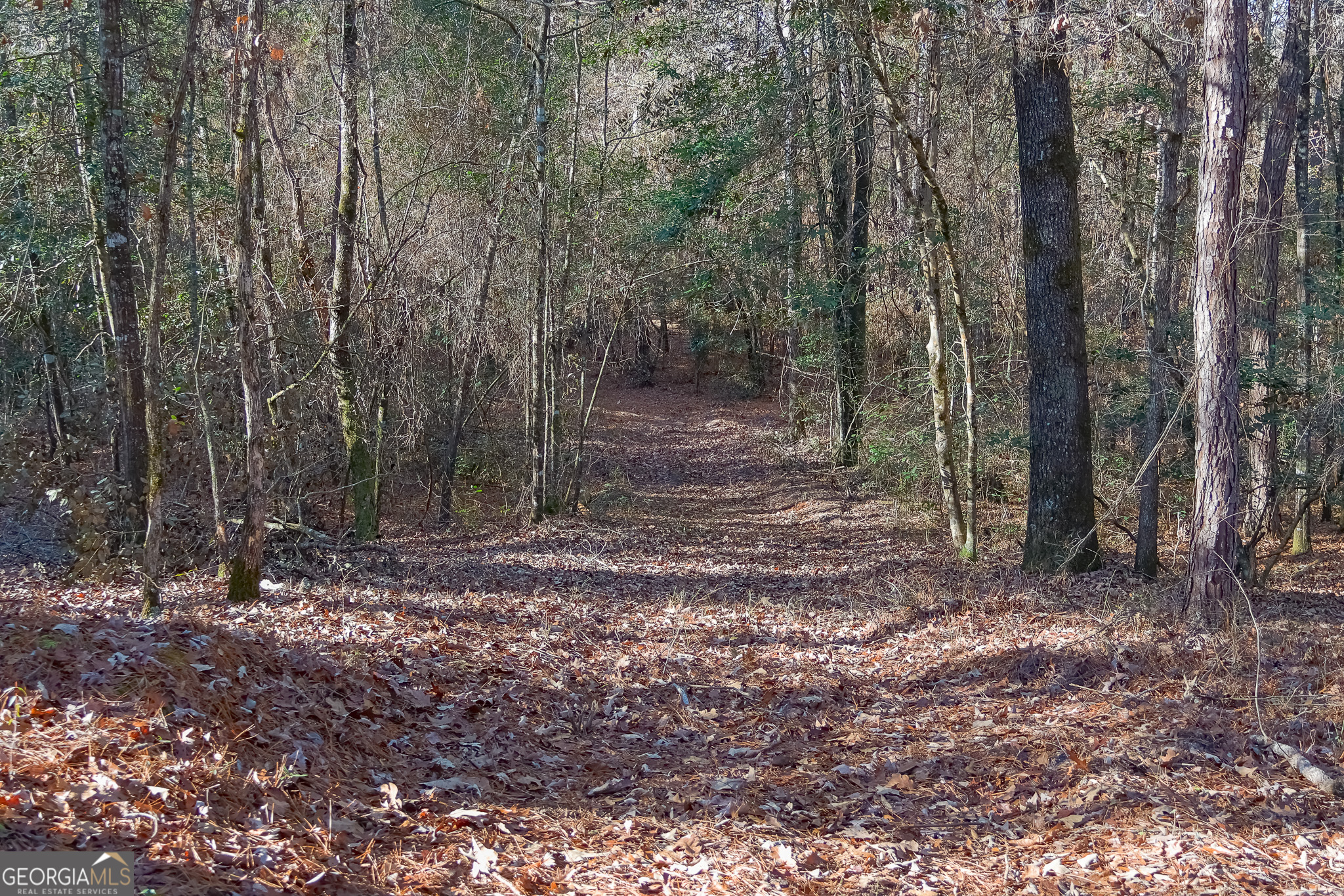 0 Limestone Road Cochran GA 31014
